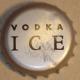 Vodka ice copie