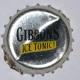 Gibson's Ice Gibson s ice tonic exsoda enalcool la martiniquaise france 94